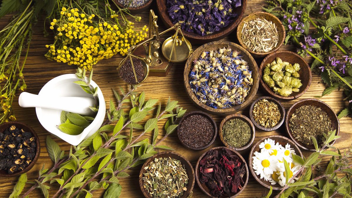 Learning about Cretan traditional medicine