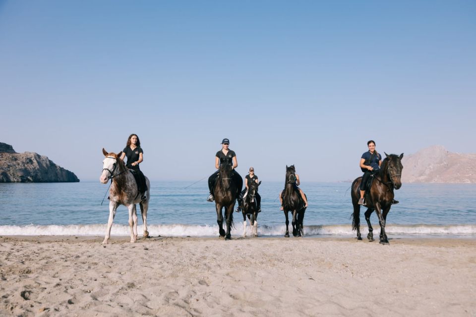 Marketing Cretan Equestrian Tours